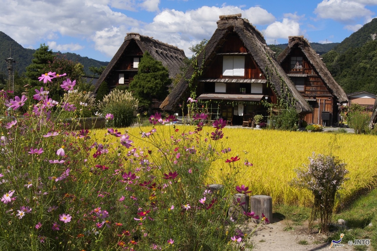 Gifu, du lich Nhat Ban anh 2