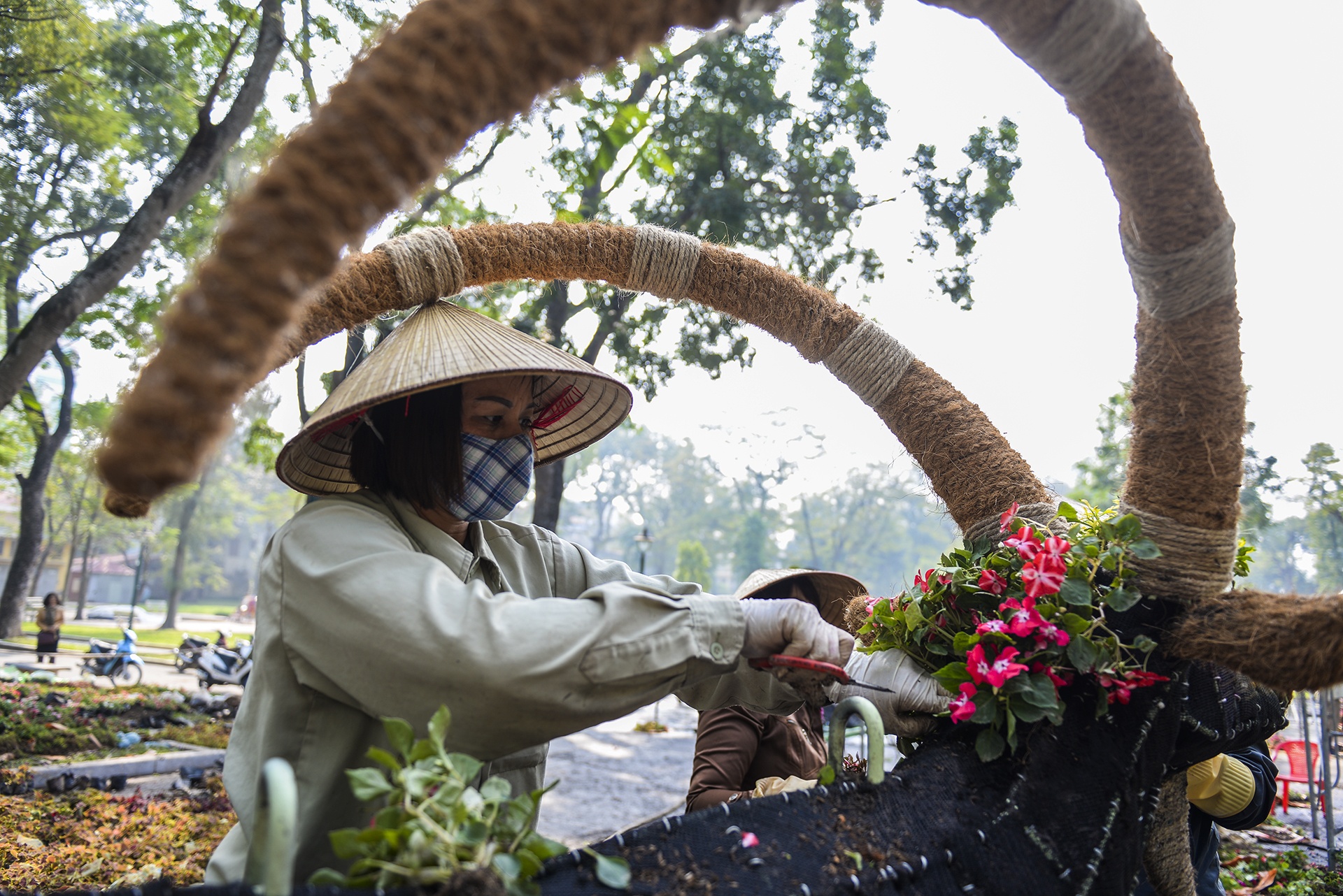 Tam ga long xanh duoi tim co mot khong hai o Ha Noi anh 10