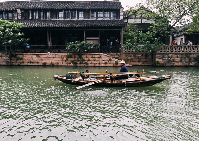 &quot;lac troi&quot; giua khung canh binh yen den la o o tran hinh anh 9