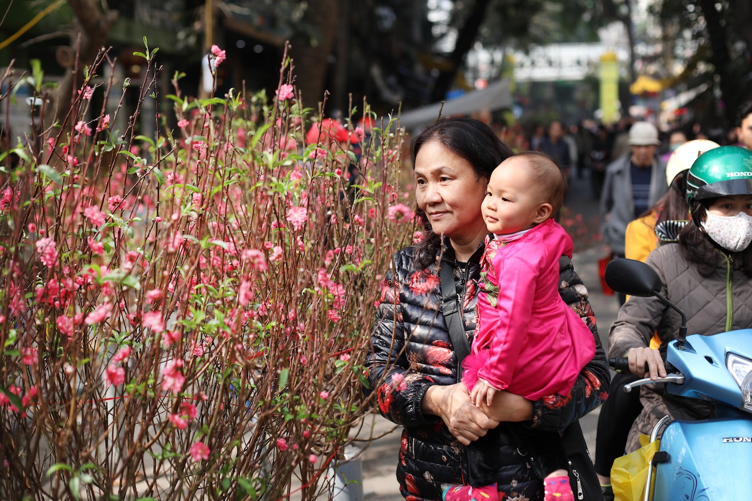 Ha Noi ngay giap Tet Nguyen dan anh 9