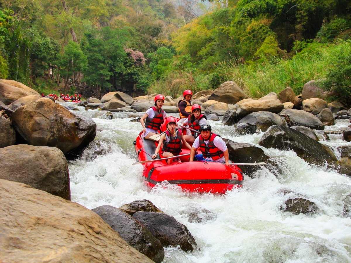 Ky quan thien nhien Great Barrier anh 11