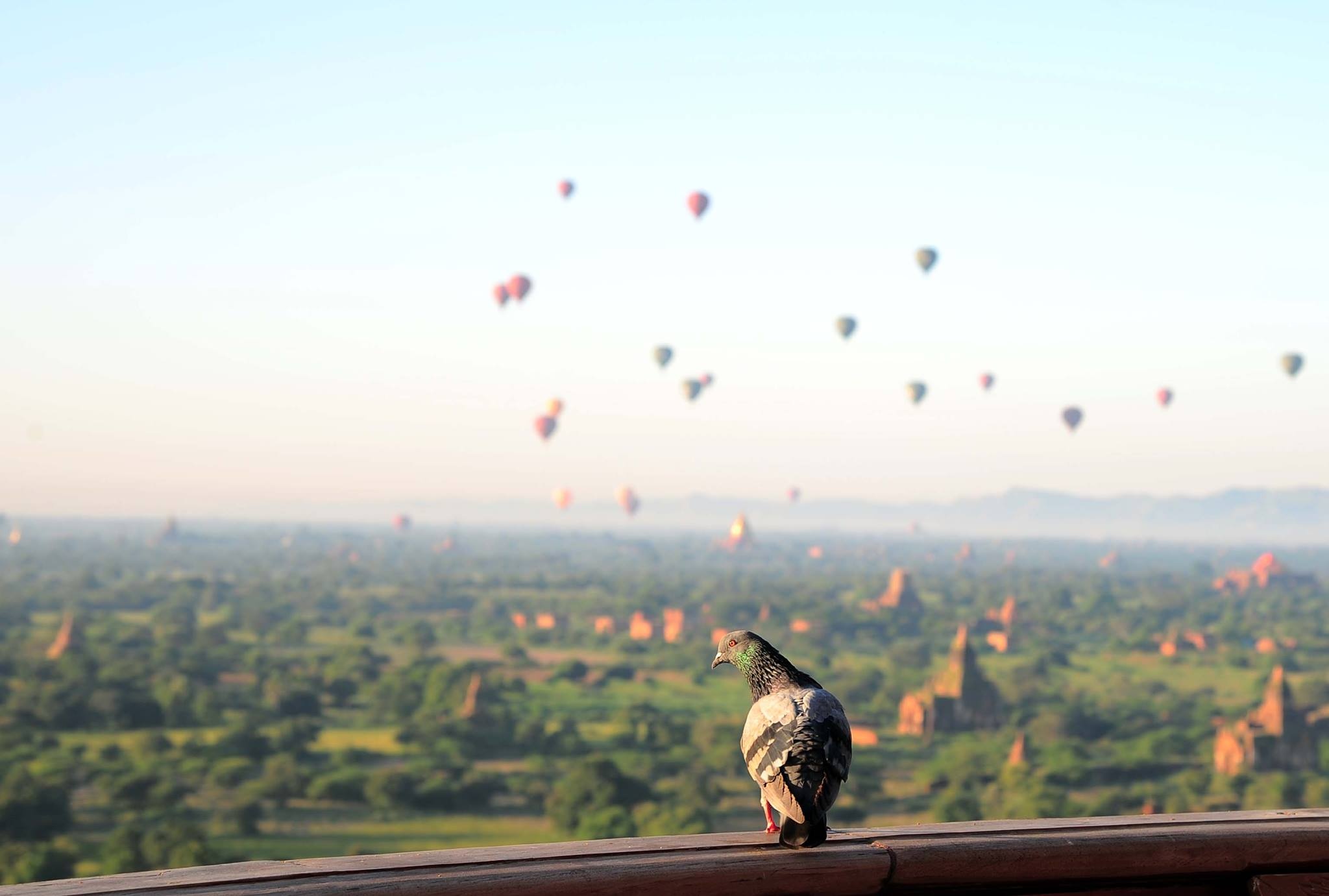 Kinh nghiem du lich Bagan anh 8