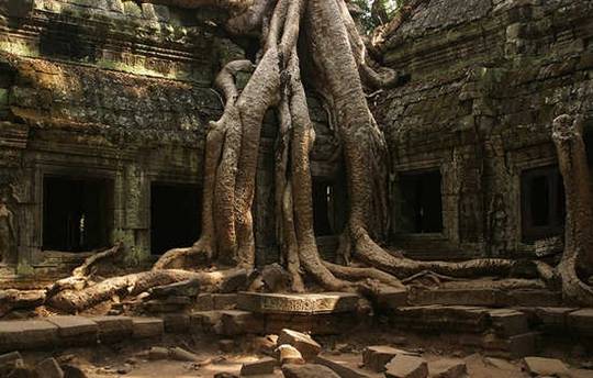 Đền Ta Prohm