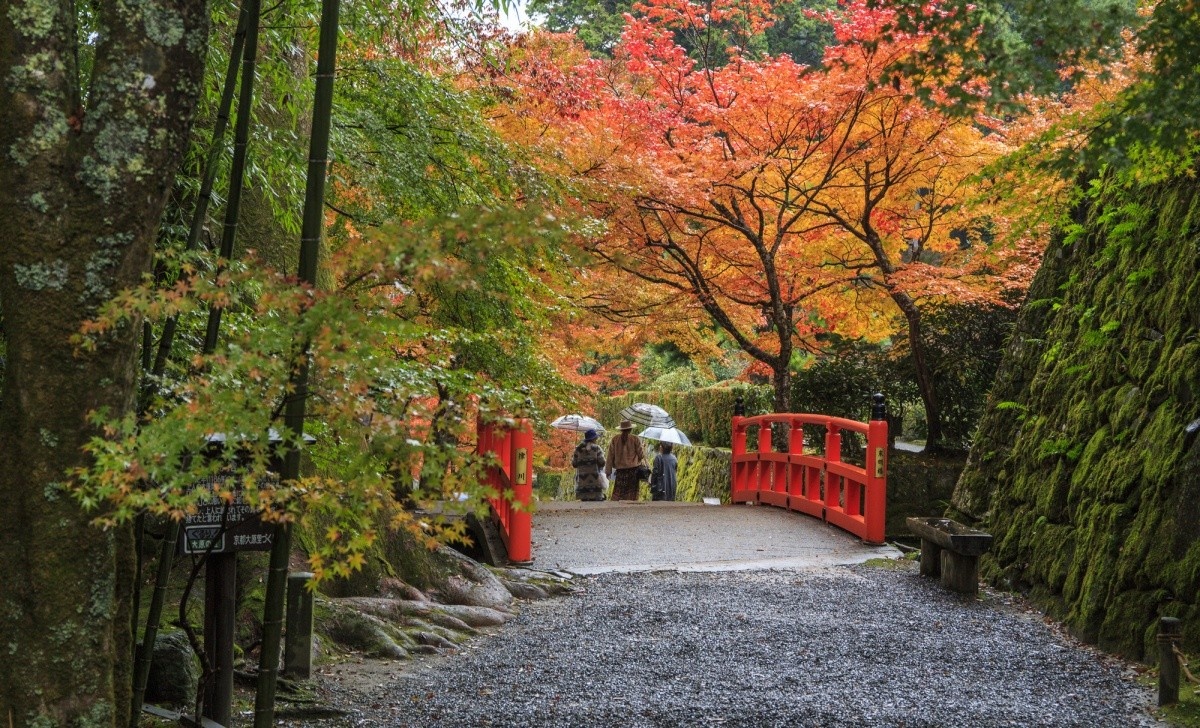 du lich Kyoto anh 8