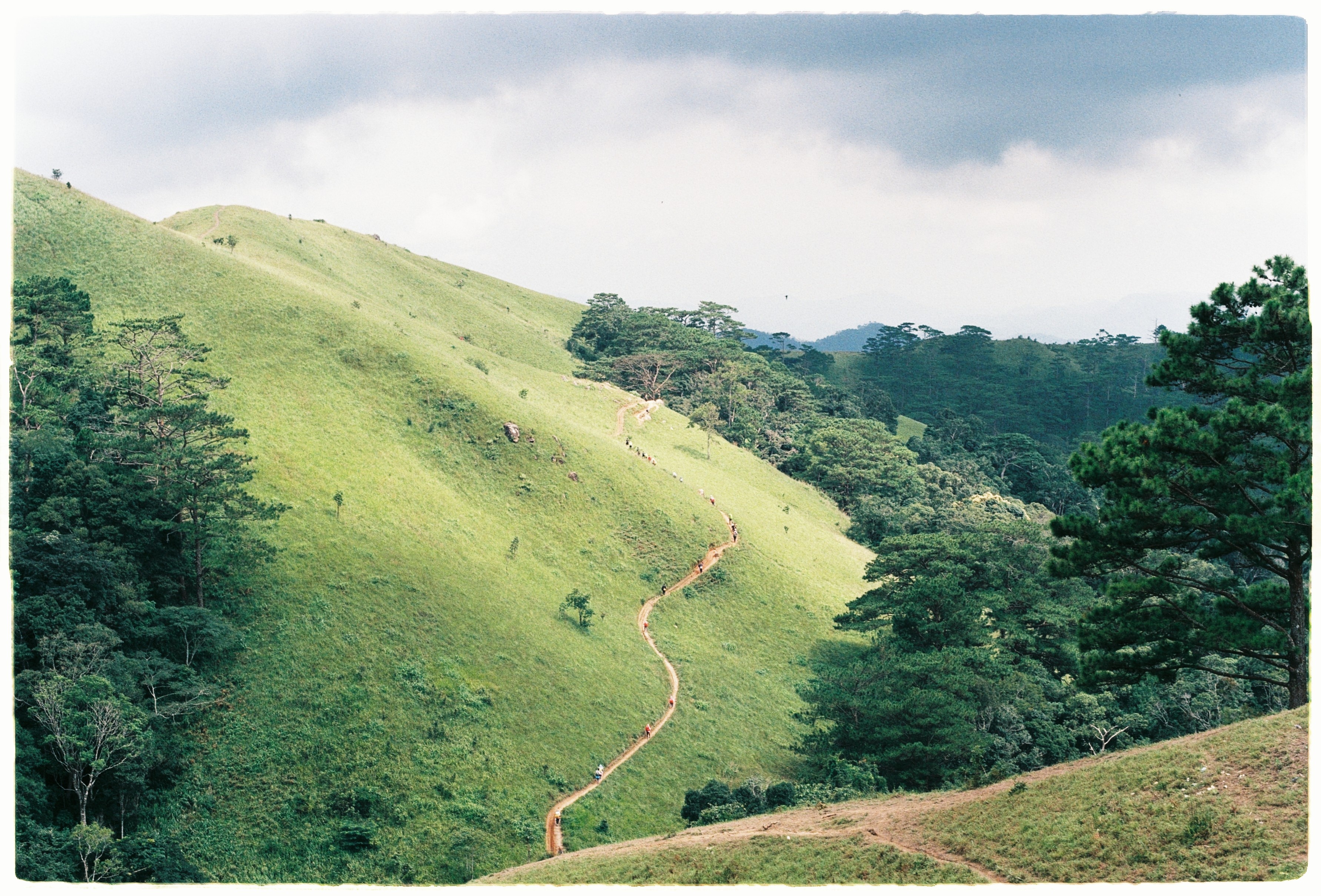 Cung trek dep nhat, Lam Dong, Binh Thuan, an trua trong rung anh 4