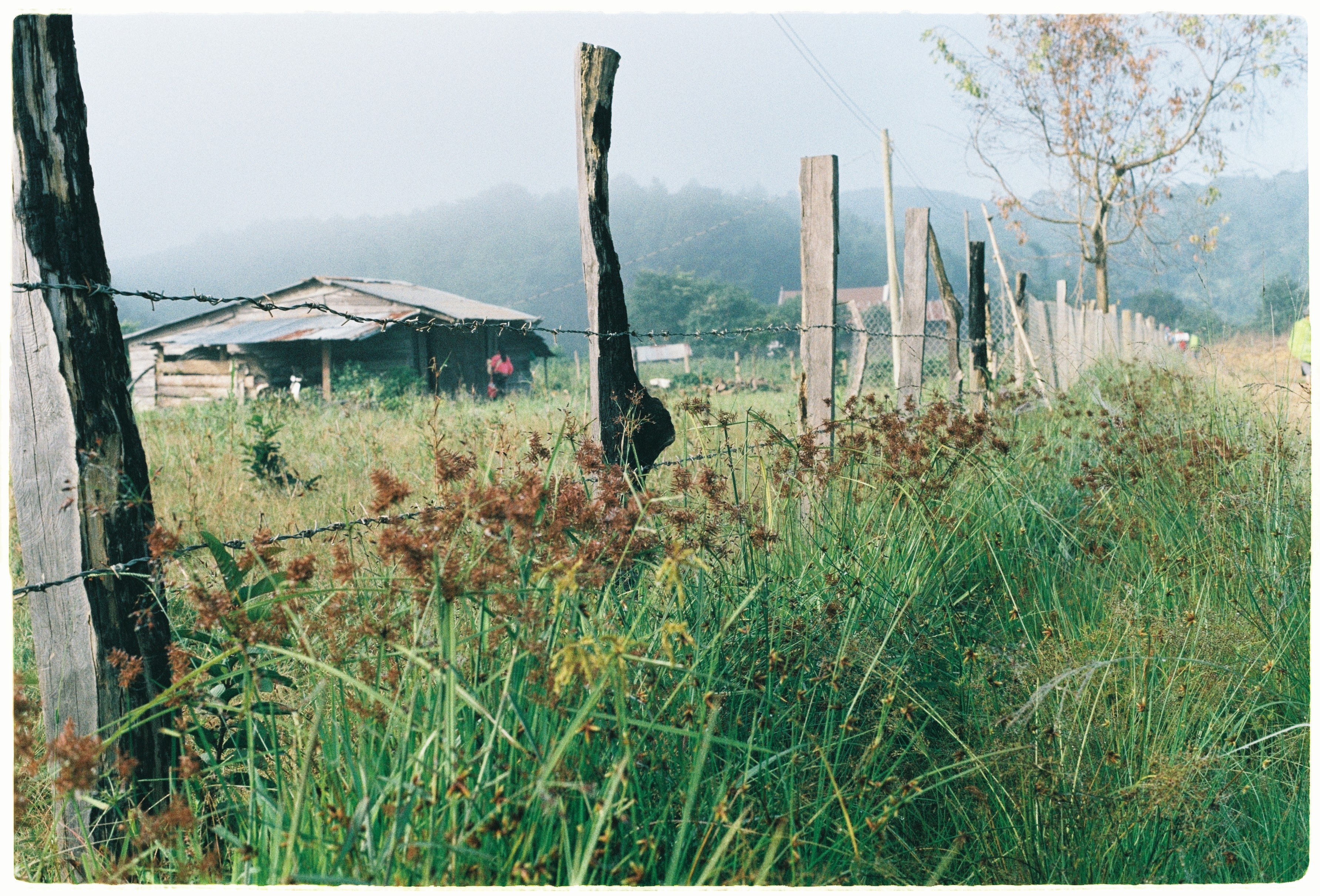 Cung trek dep nhat, Lam Dong, Binh Thuan, an trua trong rung anh 2