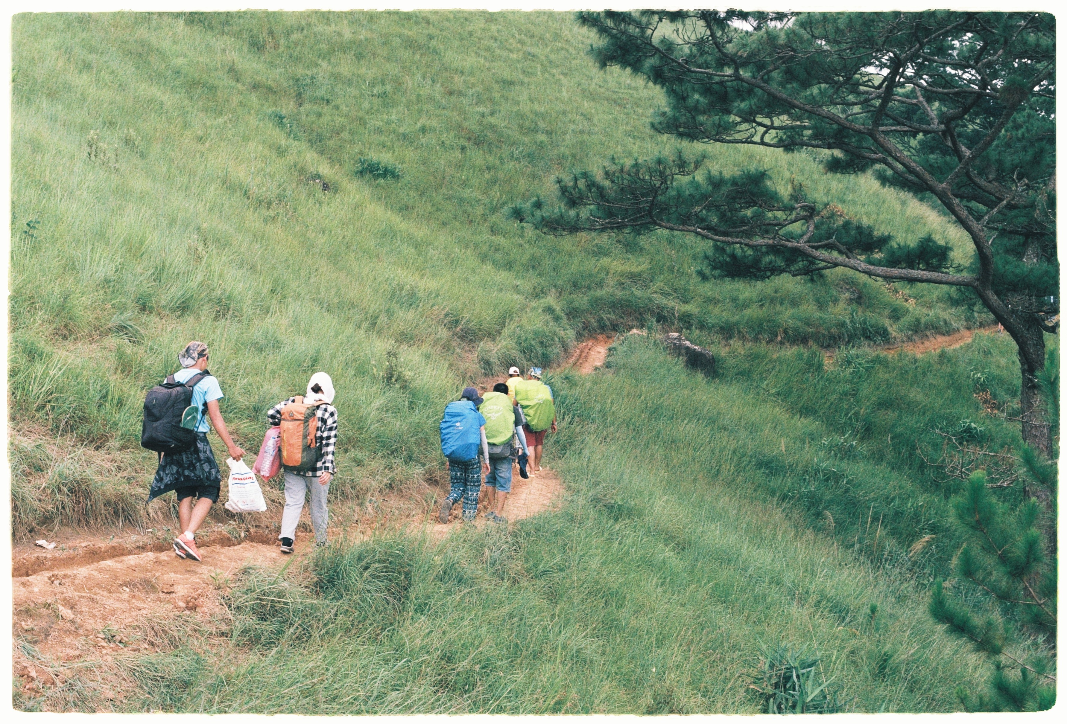 Cung trek dep nhat, Lam Dong, Binh Thuan, an trua trong rung anh 8