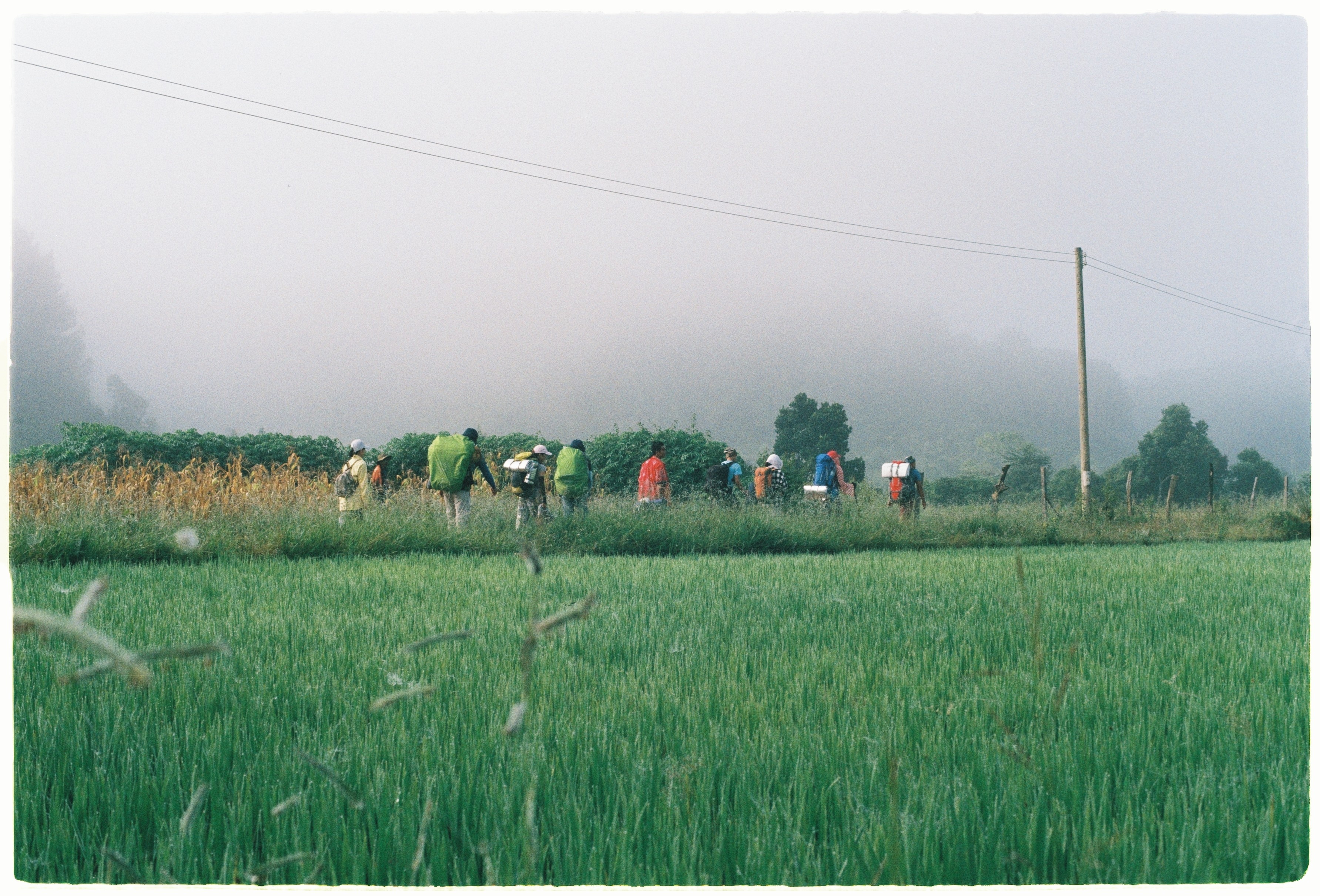 Cung trek dep nhat, Lam Dong, Binh Thuan, an trua trong rung anh 1