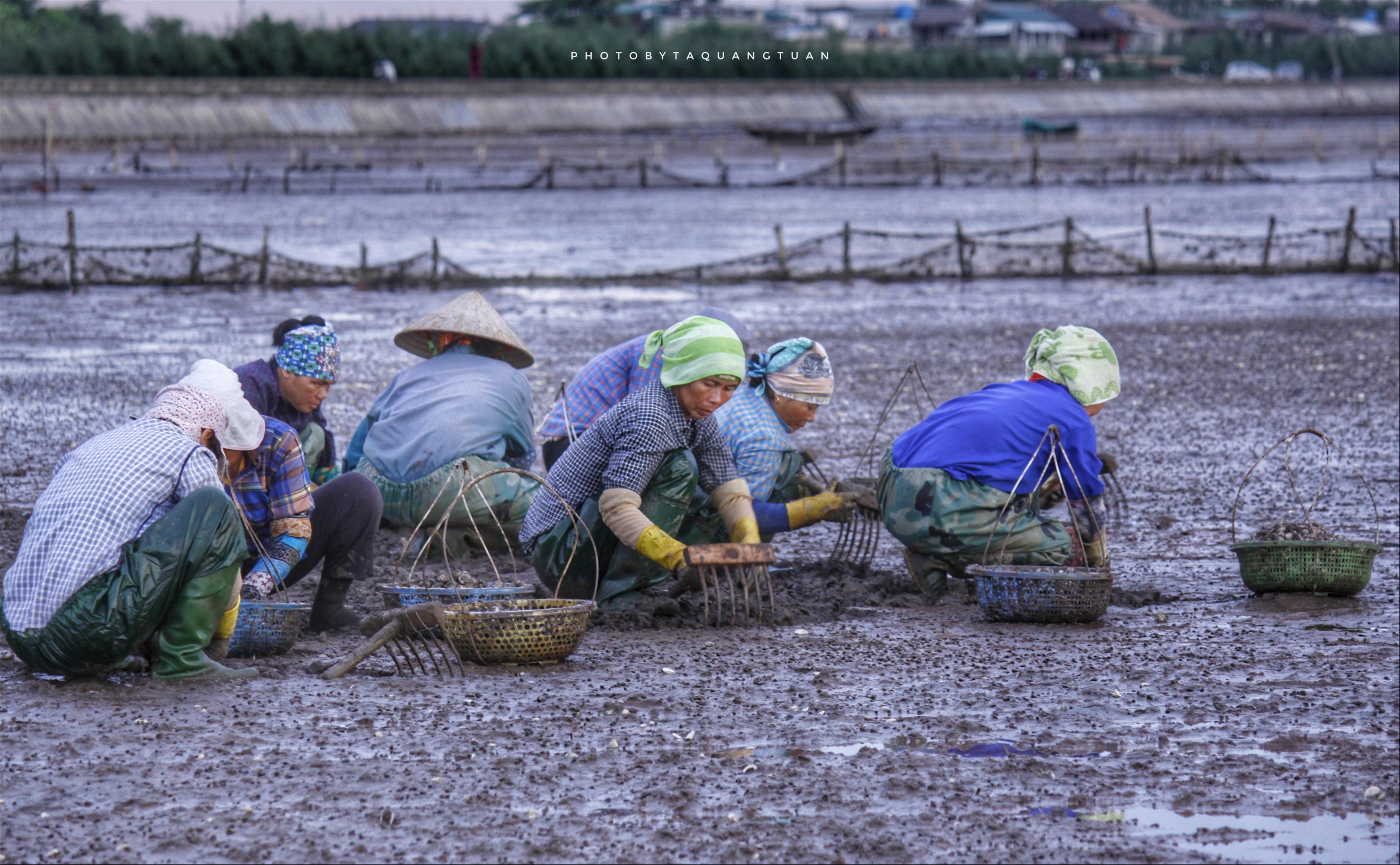 cuoc song ngu dan lang chai trong Dau an Viet Nam anh 3