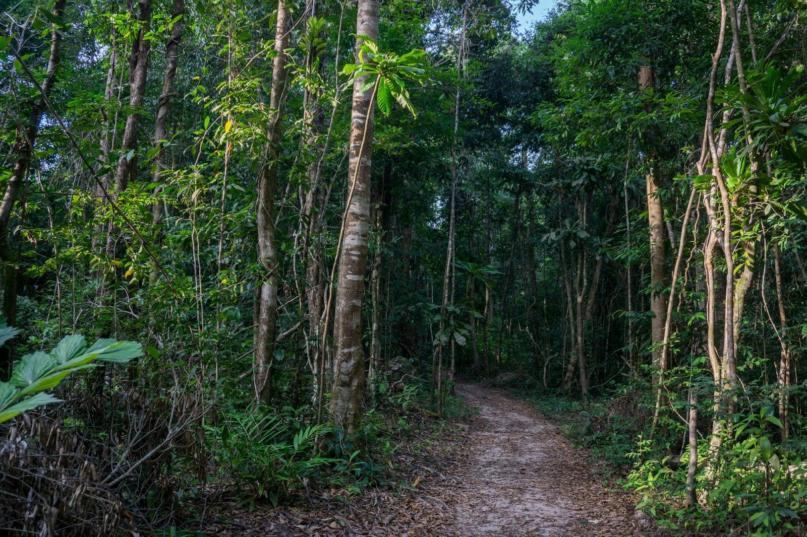 Kham pha thien duong Koh Rong Saloem anh 7