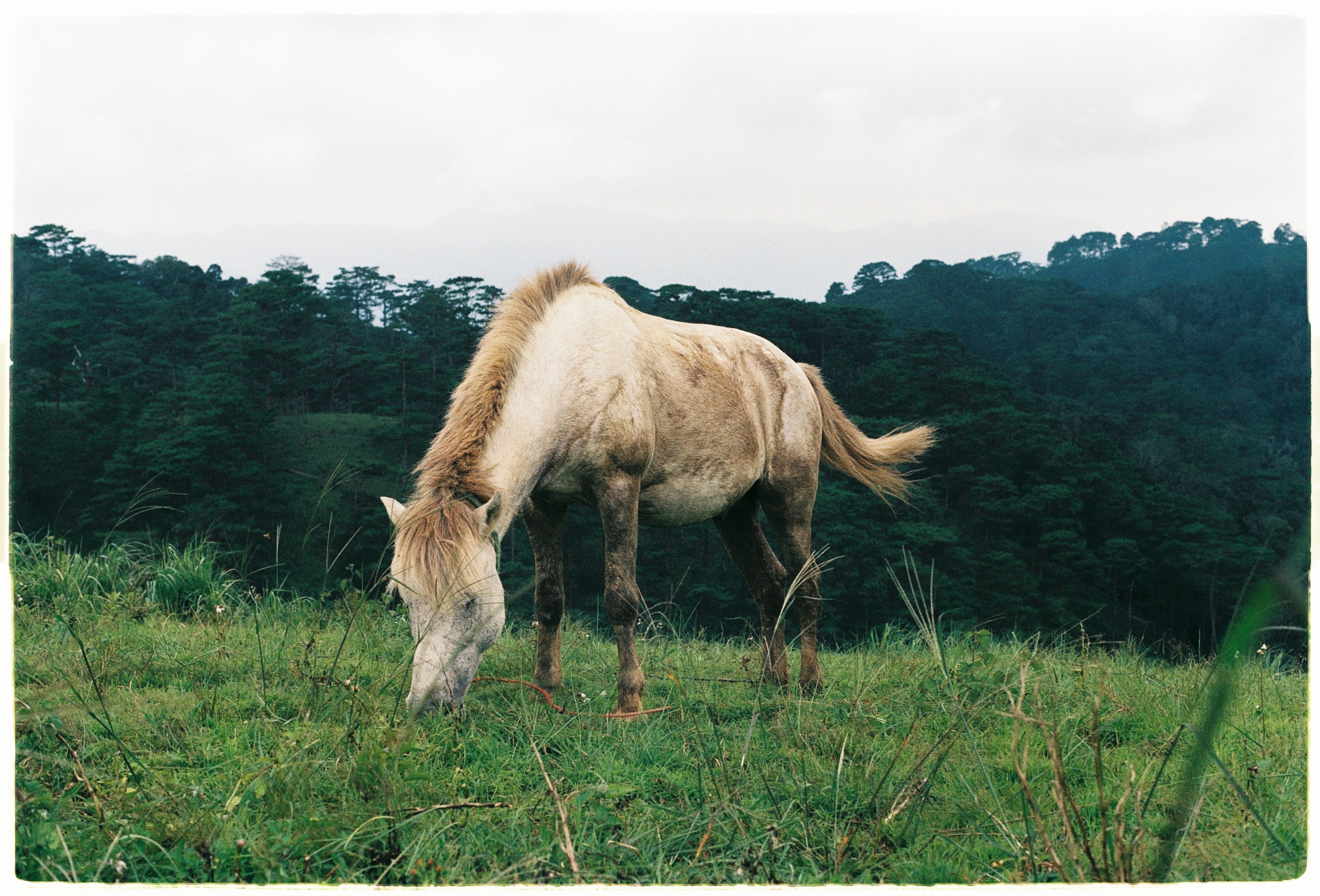 Cung trek dep nhat, Lam Dong, Binh Thuan, an trua trong rung anh 9