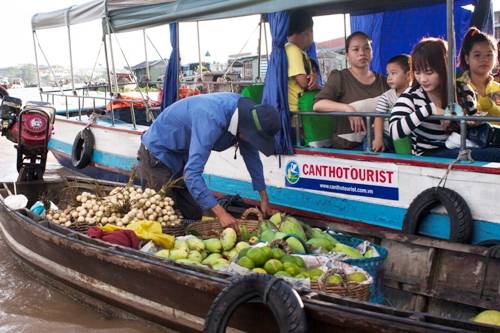 Nhắc tới xứ miệt vườn Cần Thơ thì không thể không quên những vườn trái cây sai trĩu quả. Trái cây còn tươi, vừa thu hái từ khắp các vùng chuyển xuống chợ nổi bán khi sáng sớm. Những trái xoài, cam mọng nước hay những chùm bòn bon vàng nâu như làm trọn vẹn hơn cho tour ẩm thực của bạn trên chợ nổi Cái Răng.