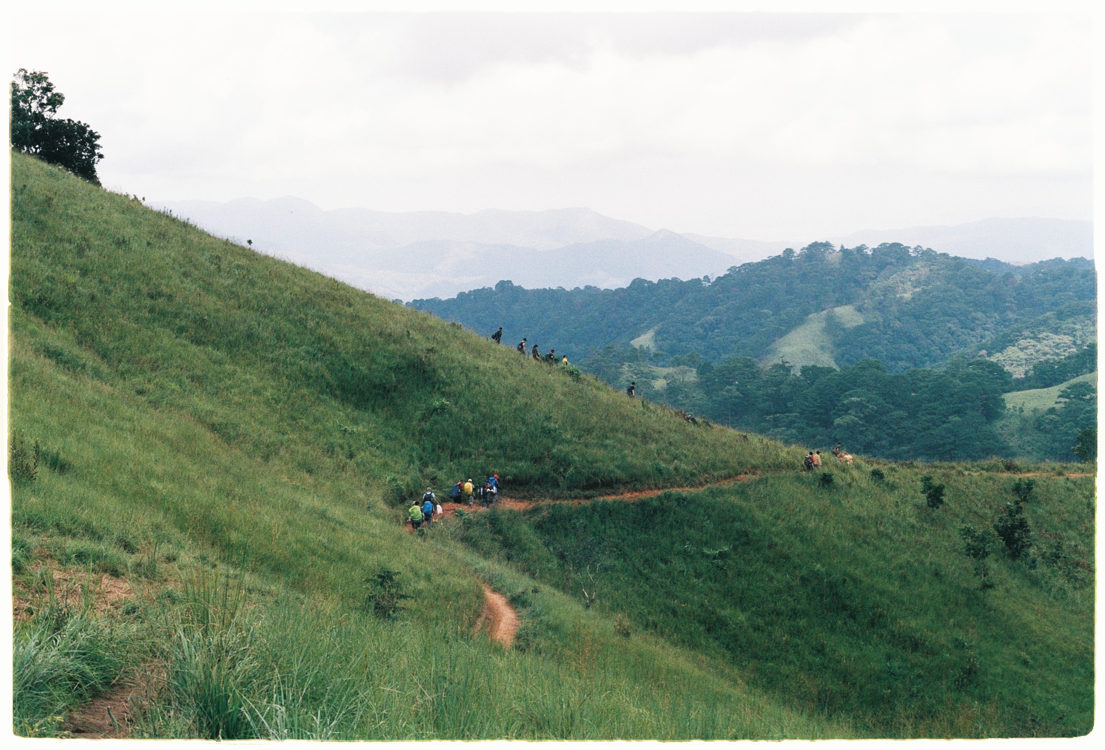 Cung trek dep nhat, Lam Dong, Binh Thuan, an trua trong rung anh 5