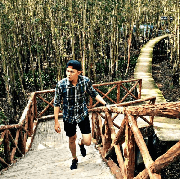 Những cây cầu gỗ ở rừng tràm