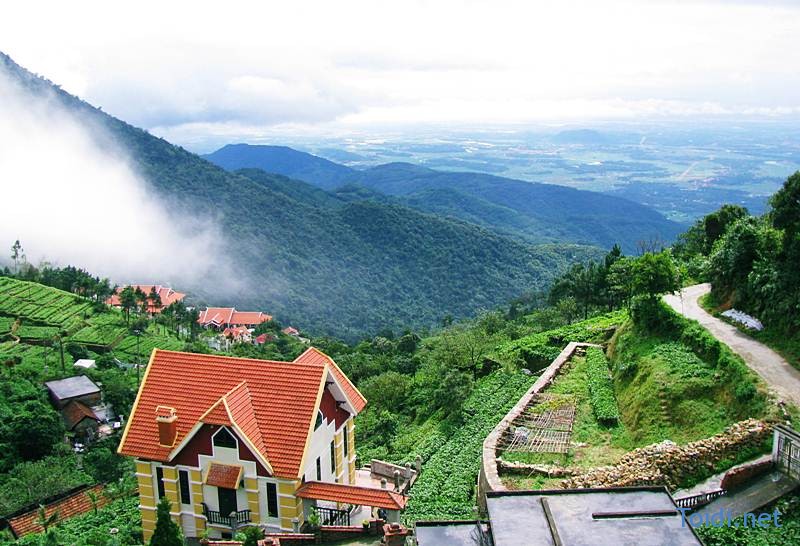 Tam Đảo