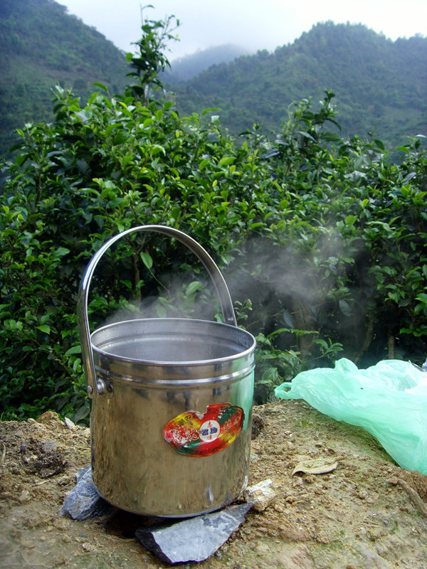 Thưởng chè xanh kiểu “phượt”