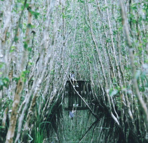 địa điểm picnic gần sài gòn