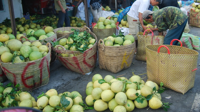 Bưởi Năm roi Phú Hữu 