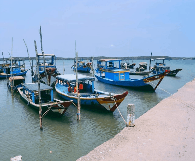 địa điểm picnic gần sài gòn