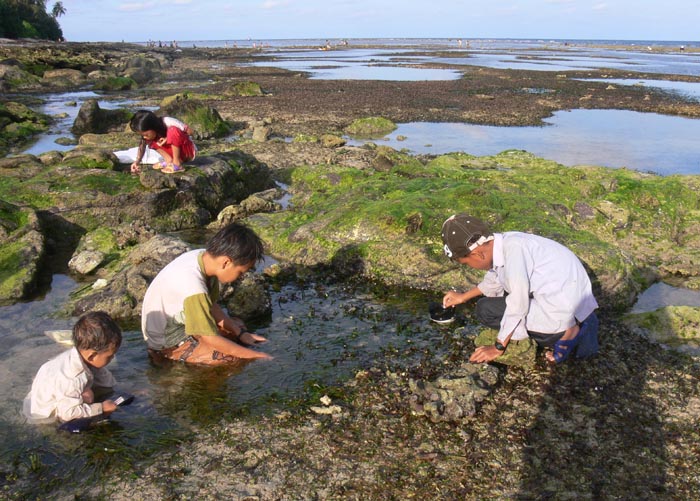 Người dân Nha Trang đang đi mò ốc