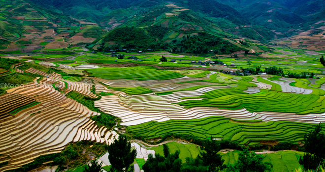 Thung lũng Cao Phạ thuộc huyện Mù Căng Chải, Yên Bái vào mùa đổ nước với những thửa ruộng còn mênh mang nước đan xen những thửa ruộng lúa đã lên cao. 