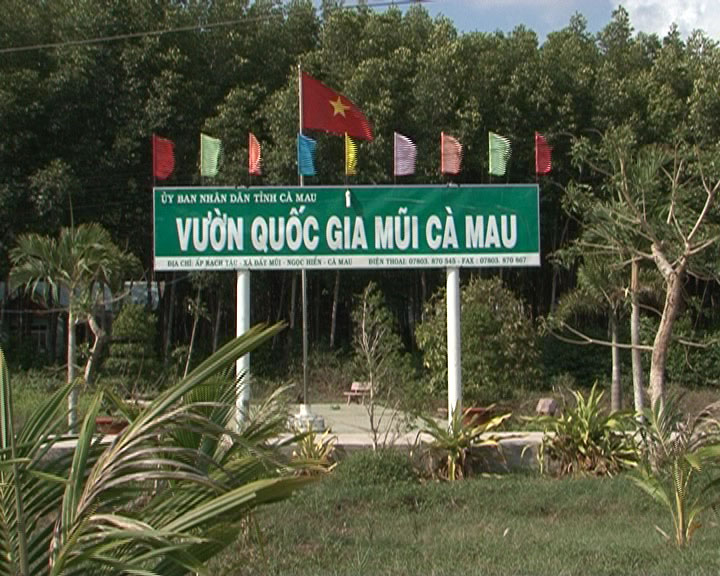 Vườn Quốc Gia Mũi Cà Mau.