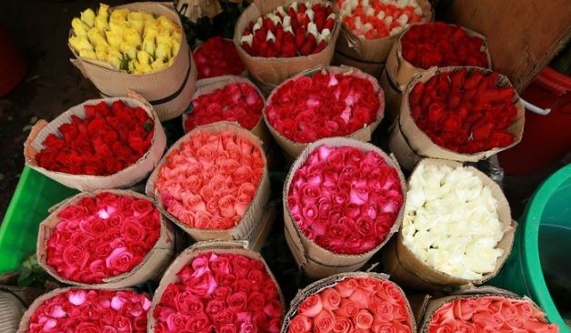 vẻ đẹp của hoa tại chợ Hồ Thị Kỷ