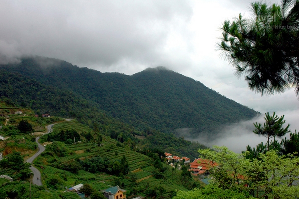 Co-mot-Tam-Dao-dep-den-vay-trong-long-du-khach