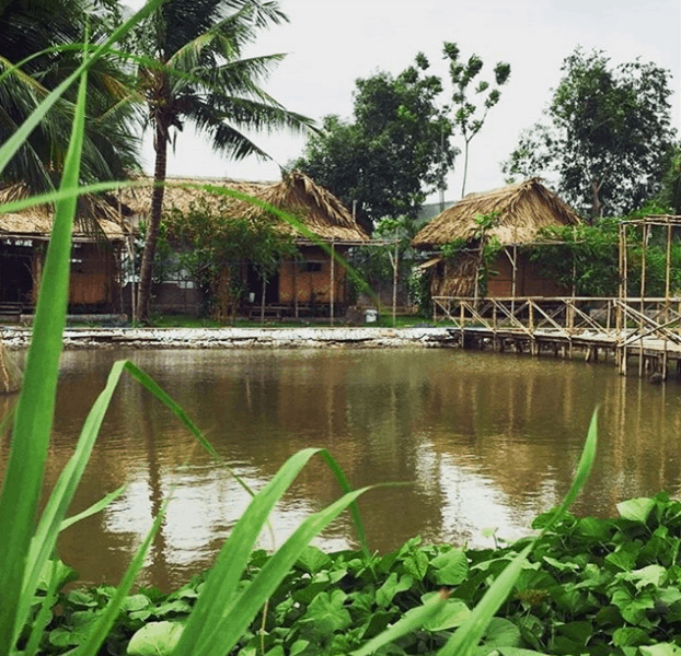 địa điểm picnic gần sài gòn