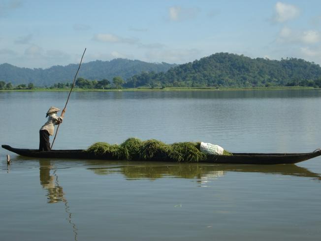 Cuộc sống trên hồ