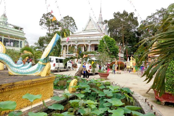 Lịch trình tham khảo, ngày 1:Chợ nổi Ngã Năm, vườn cò Tân Long, các ngôi chùa và bảo tàng.