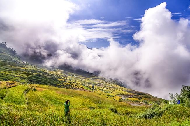 Mây giăng trắng trời, phả lên ruộng đồng mơn man hương sắc