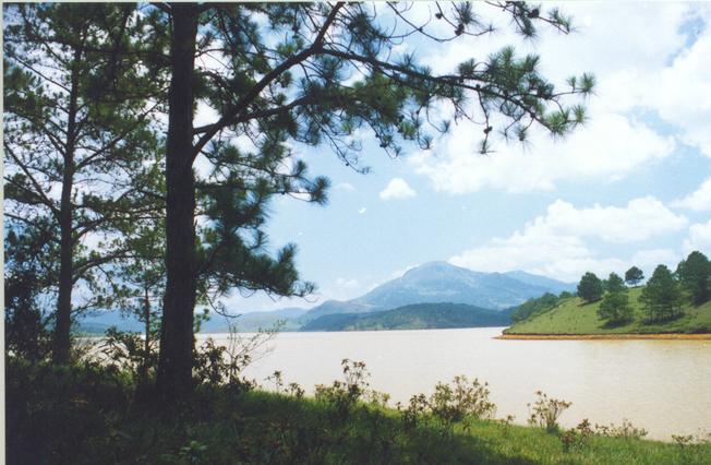 Hồ Suối Vàng – Dankia phơi mình bên đồi thông