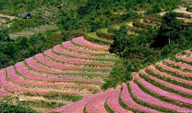 Hà Giang