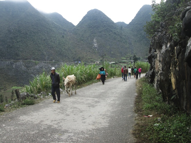 Chợ phiên Sà Phìn nằm ở huyện Sà Phìn, cách thị xã Hà Giang 140km, ngay dưới đường dẫn lên dinh thự vua Mèo, ngôi nhà quyền uy nhất vùng núi phía Bắc nước ta thuở trước.