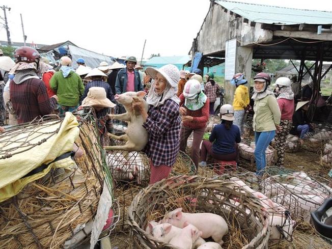 Phiên chợ heo con Bà Rén