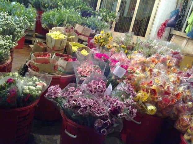 hoa tươi chợ hoa hồ thị kỷ