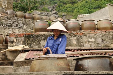 Ra Cát Hải xem dân làm mắm