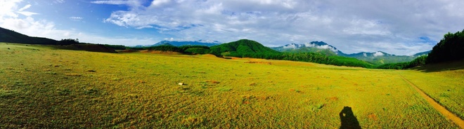 Hồ Hòa Trung – thảo nguyên cỏ vàng của Đà Nẵng