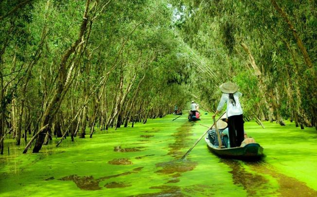 Du lịch bụi miền Tây bằng xe máy với Rừng tràm Trà Sư ở An Giang (ảnh sưu tầm)