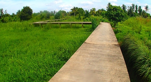 5 hon dao gan bangkok co the kham pha trong ngay