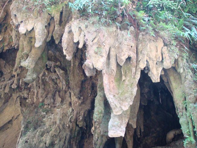 Bên ngoài một hang động