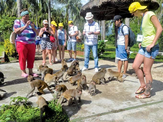 Du khách chơi với những chú khỉ