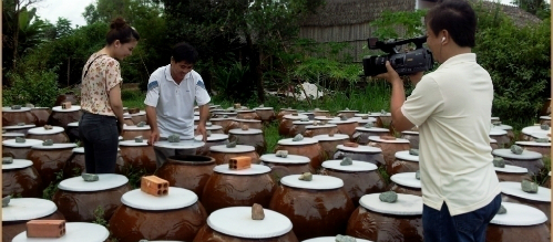 Cơ sở sản xuất mắm rươi ở Trà Vinh