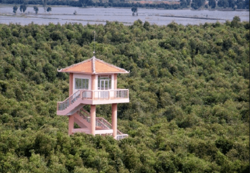 Ngọn tháp canh nằm giữa rừng tràm