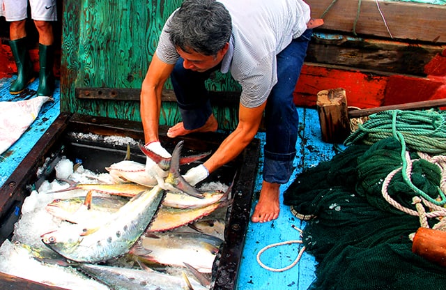 Ngư dân ở đảo Cồn Cỏ 