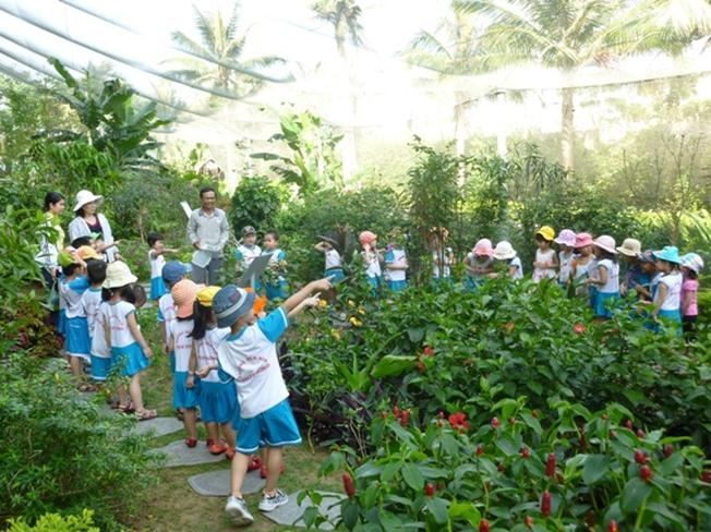 Các em học sinh đang thăm quan vườn bướm