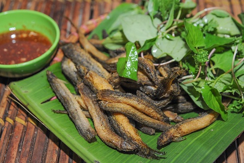 Đĩa trạch đồng chiên giòn tan trong miệng và rất thơm, chấm kèm với gia vị, chanh, ớt và ăn ghém dưa chuột vừa ngon lại vừa lạ miệng.