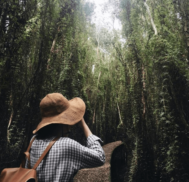 địa điểm picnic gần sài gòn