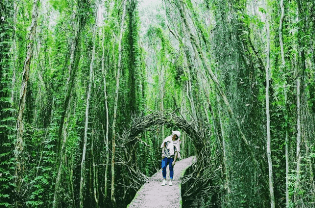 địa điểm picnic gần sài gòn